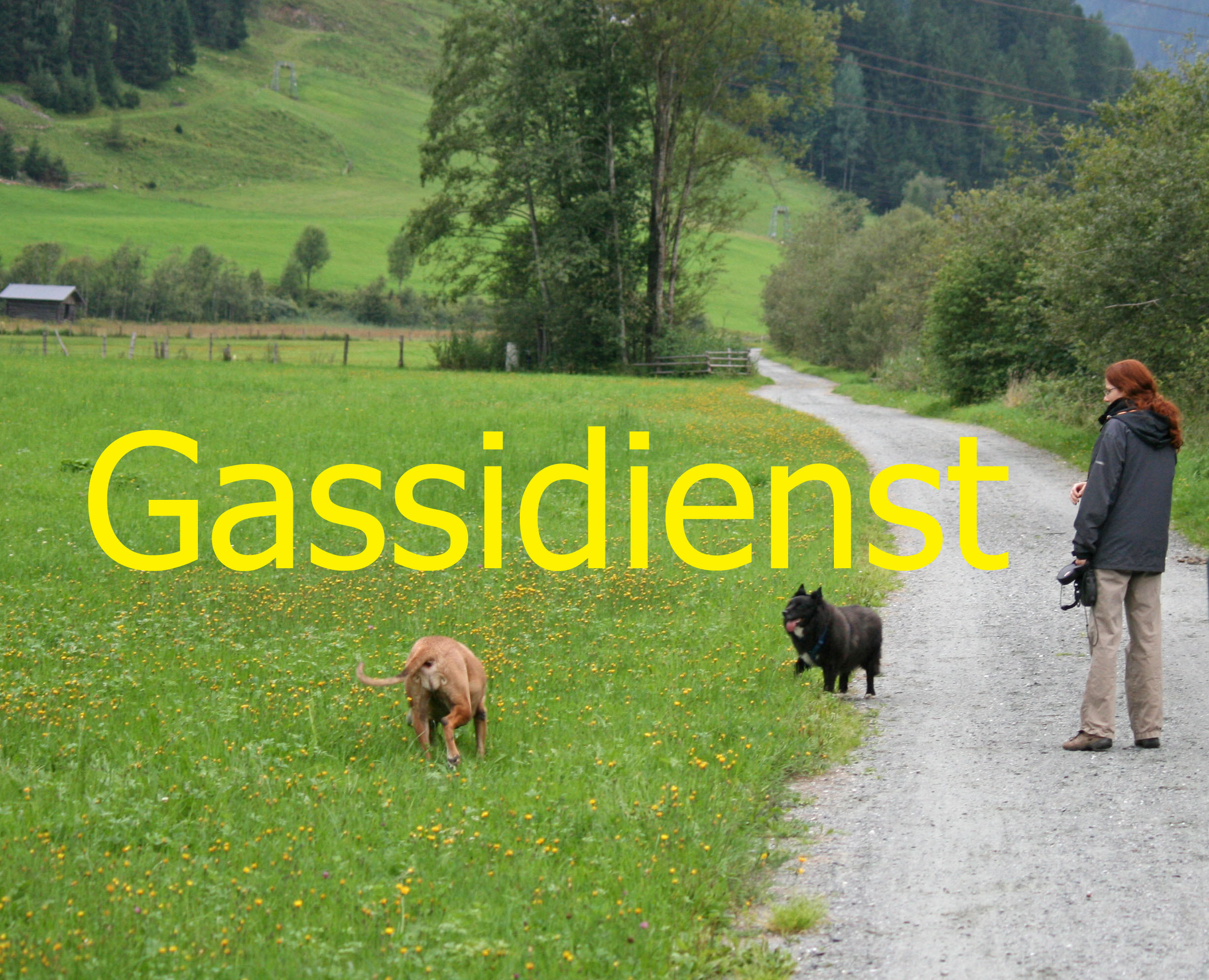 gassidienst_bildtextgross